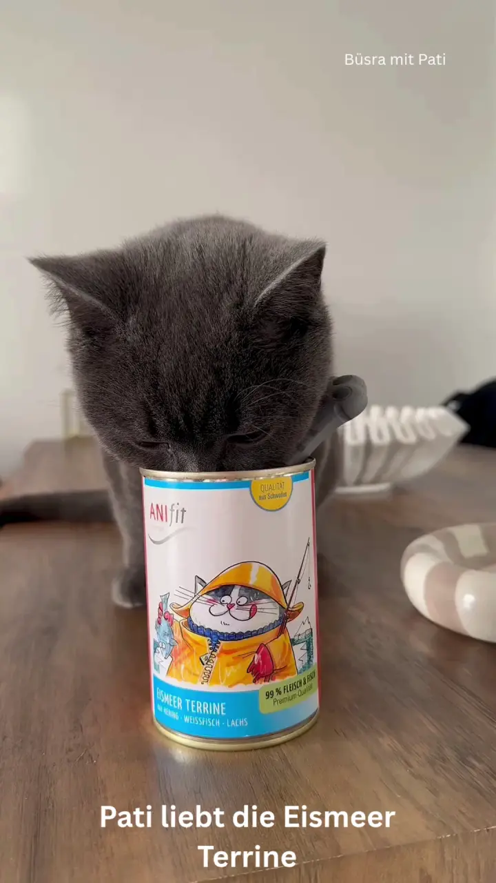 Sogar Pati ist überzeugt